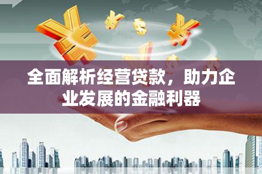 南投市全面解析经营贷款，助力企业发展的金融利器