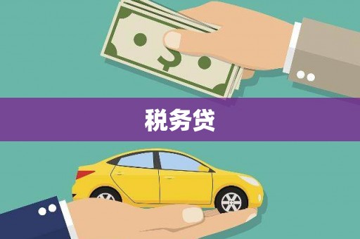 南投市税务贷