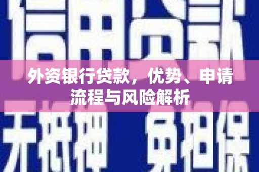 南投市外资银行贷款，优势、申请流程与风险解析