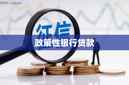 南投市政策性银行贷款