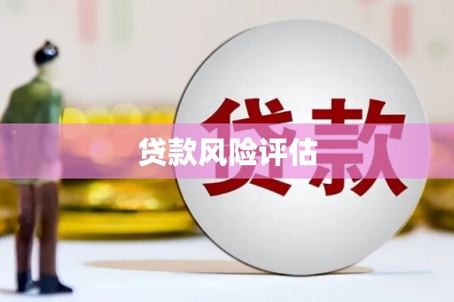 南投市贷款风险评估