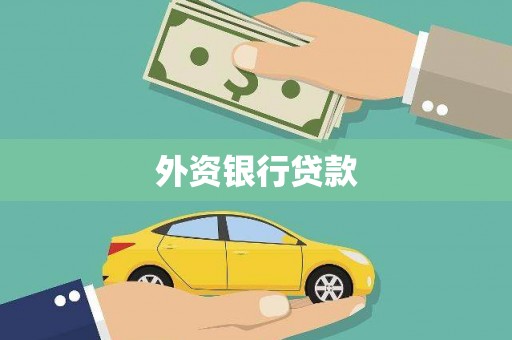 南投市外资银行贷款