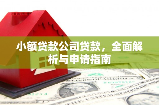 南投市小额贷款公司贷款，全面解析与申请指南