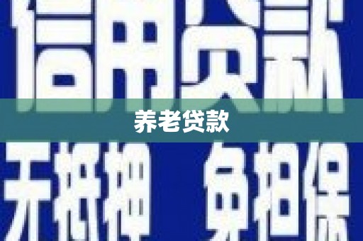 南投市养老贷款