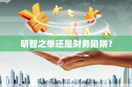 南投市明智之举还是财务陷阱？
