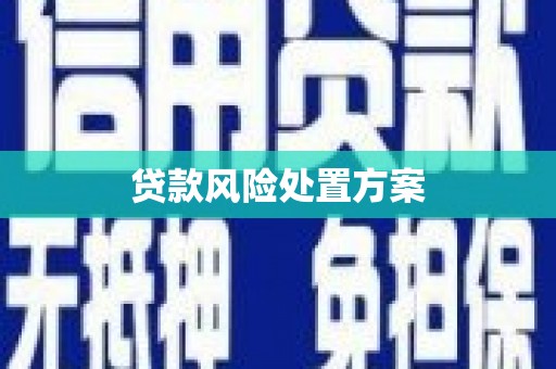 南投市贷款风险处置方案