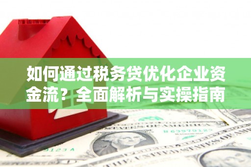 南投市如何通过税务贷优化企业资金流？全面解析与实操指南