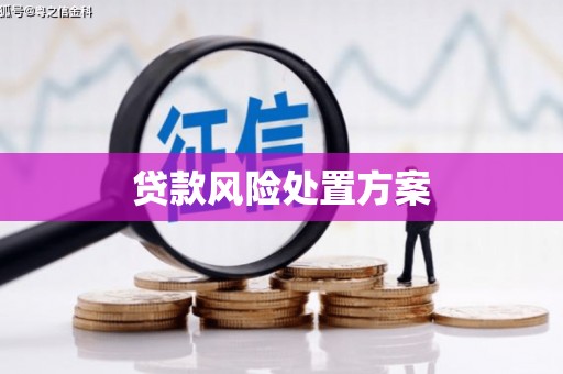 南投市贷款风险处置方案