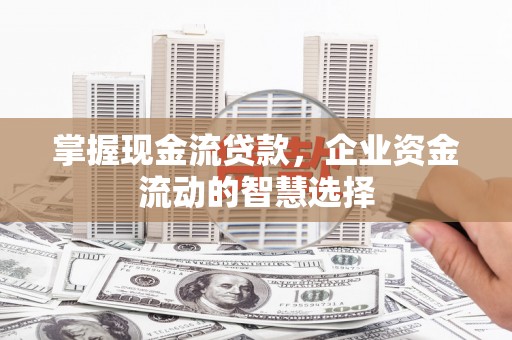 南投市掌握现金流贷款，企业资金流动的智慧选择