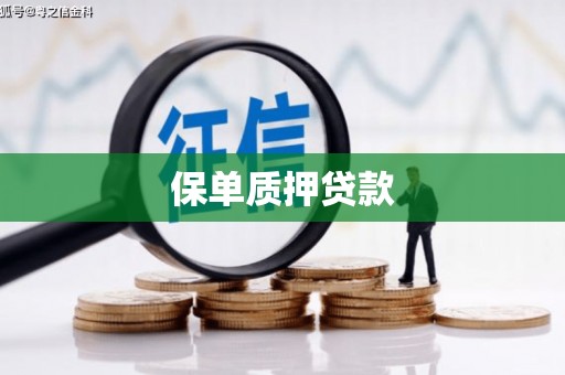 南投市保单质押贷款
