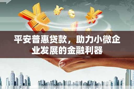 南投市平安普惠贷款，助力小微企业发展的金融利器