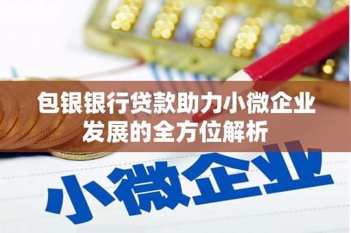 南投市包银银行贷款助力小微企业发展的全方位解析