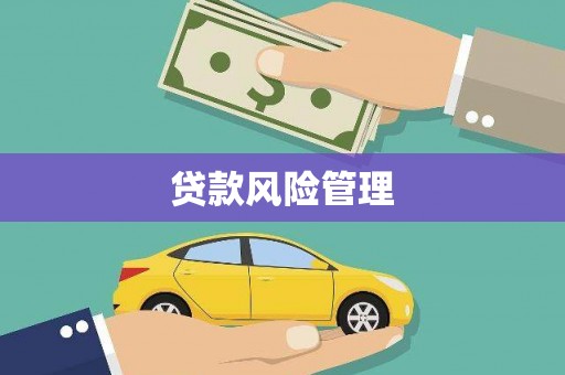 南投市贷款风险管理