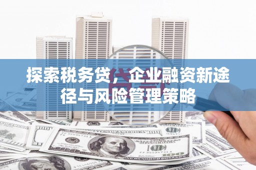 南投市探索税务贷，企业融资新途径与风险管理策略