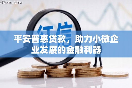 南投市平安普惠贷款，助力小微企业发展的金融利器