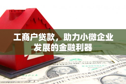 南投市工商户贷款，助力小微企业发展的金融利器