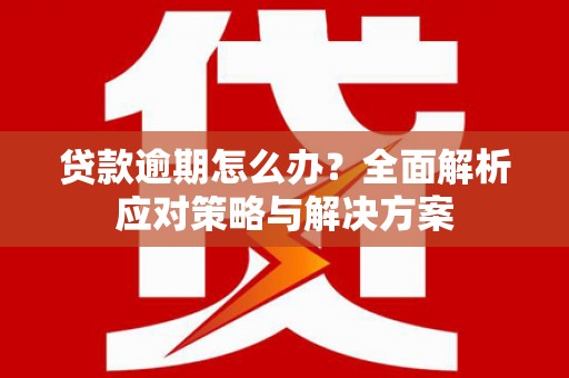 南投市贷款逾期怎么办？全面解析应对策略与解决方案