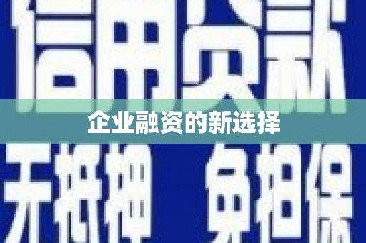 南投市企业融资的新选择