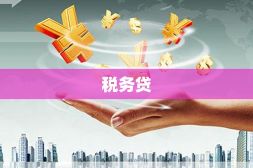 南投市税务贷