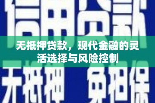 南投市无抵押贷款，现代金融的灵活选择与风险控制