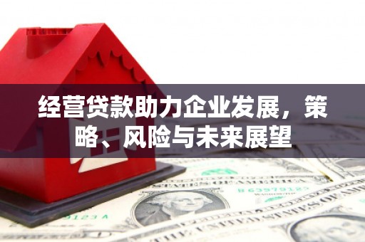 南投市经营贷款助力企业发展，策略、风险与未来展望