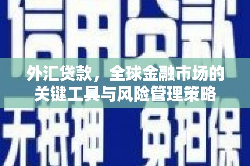 南投市外汇贷款，全球金融市场的关键工具与风险管理策略