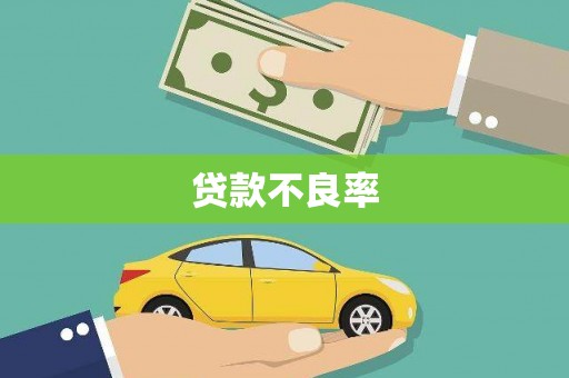 南投市贷款不良率