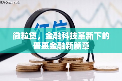 南投市微粒贷，金融科技革新下的普惠金融新篇章
