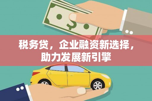 南投市税务贷，企业融资新选择，助力发展新引擎