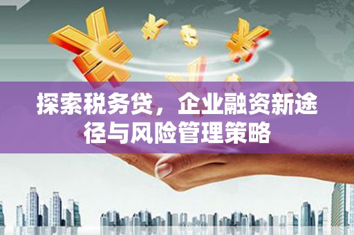 南投市探索税务贷，企业融资新途径与风险管理策略