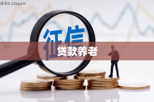 南投市贷款养老