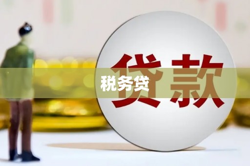 南投市税务贷