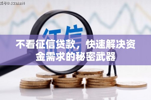 南投市不看征信贷款，快速解决资金需求的秘密武器