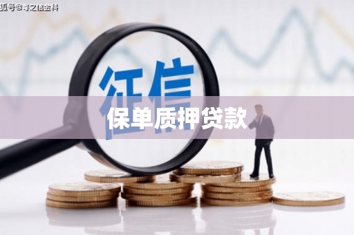 南投市保单质押贷款