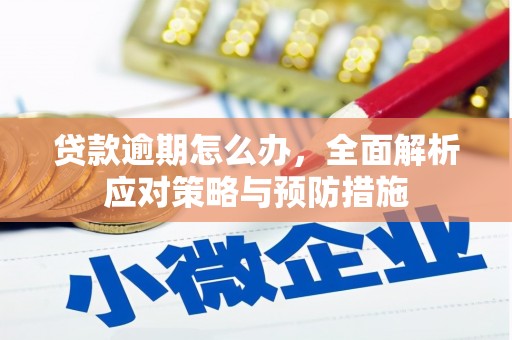 南投市贷款逾期怎么办，全面解析应对策略与预防措施
