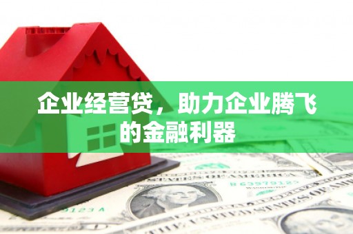 南投市企业经营贷，助力企业腾飞的金融利器