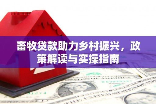 南投市畜牧贷款助力乡村振兴，政策解读与实操指南