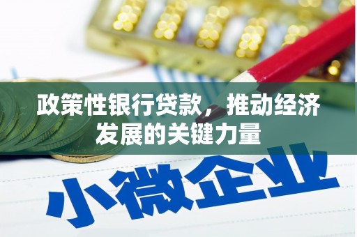 南投市政策性银行贷款，推动经济发展的关键力量