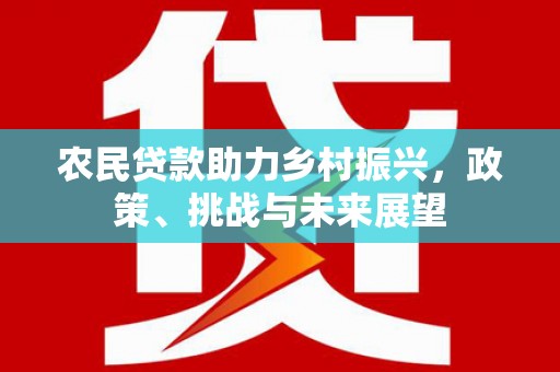 南投市农民贷款助力乡村振兴，政策、挑战与未来展望