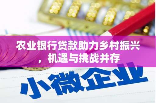 南投市农业银行贷款助力乡村振兴，机遇与挑战并存