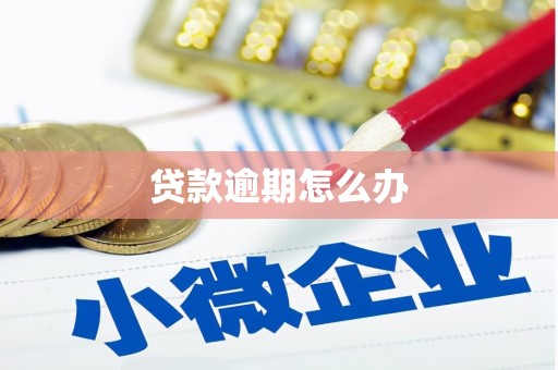 南投市贷款逾期怎么办