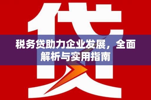 南投市税务贷助力企业发展，全面解析与实用指南
