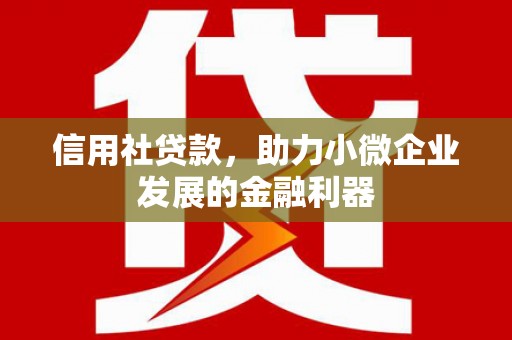 南投市信用社贷款，助力小微企业发展的金融利器