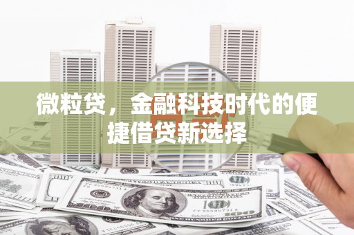 南投市微粒贷，金融科技时代的便捷借贷新选择