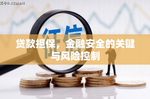 南投市贷款担保，金融安全的关键与风险控制