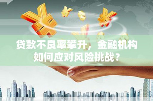 南投市贷款不良率攀升，金融机构如何应对风险挑战？
