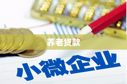 南投市养老贷款