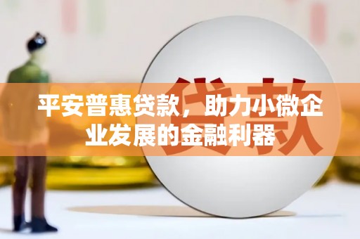 南投市平安普惠贷款，助力小微企业发展的金融利器