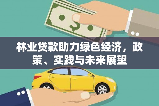 南投市林业贷款助力绿色经济，政策、实践与未来展望