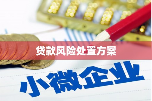 南投市贷款风险处置方案